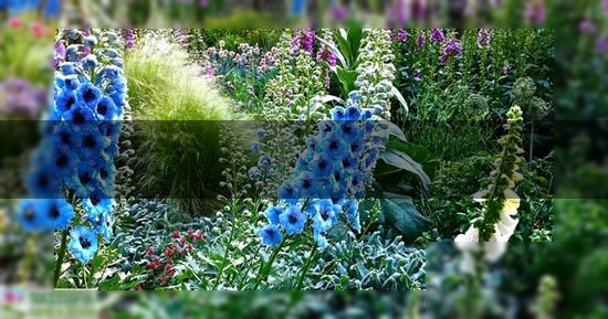 landscape design ideas